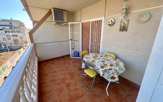 Appartement de 2 chambres à Torrevieja - GVS154204 - Photo - Small - 16