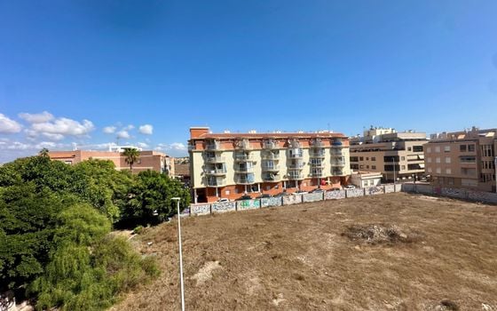 Appartement de 2 chambres à Torrevieja - GVS154204 - Photo - Small - 19