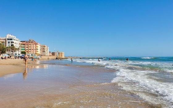 Appartement de 2 chambres à Torrevieja - GVS154204 - Photo - Small - 23