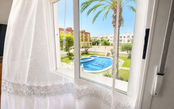 Appartement de 1 chambre à Torrevieja - CT154227 - Photo - Small - 7