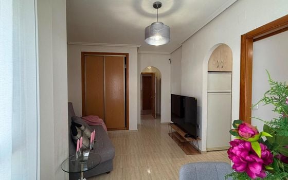 Appartement de 1 chambre à Torrevieja - CT154228 - Photo - 3