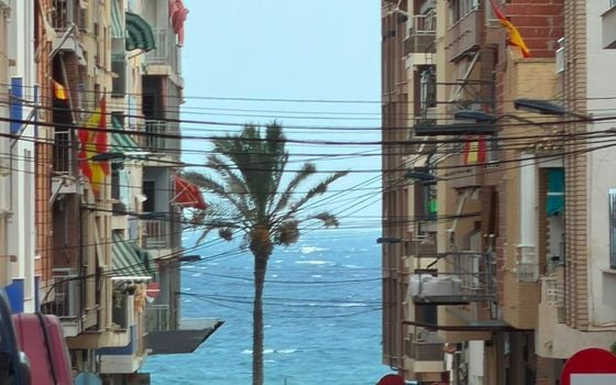 Appartement de 1 chambre à Torrevieja - CT154567 - Photo - Small - 21