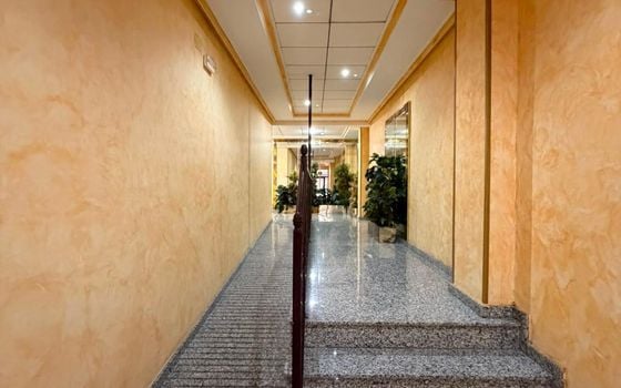 2 bedroom Apartment in Torrevieja - AG157678 - Photo - Small - 23
