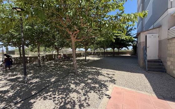 Apartament w Dolores, 3 sypialnie - CBE154243 - Zdjęcie - Small - 24