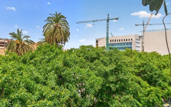 4 bedroom Apartment in Alicante - CBE154246 - Photo - Small - 18