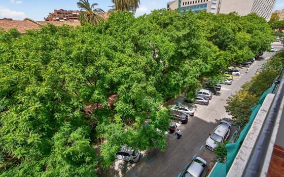 4 bedroom Apartment in Alicante - CBE154246 - Photo - Small - 15