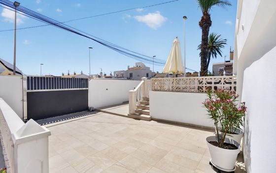 Villa de 3 chambres à Torrevieja - CBE154250 - Photo - Small - 24