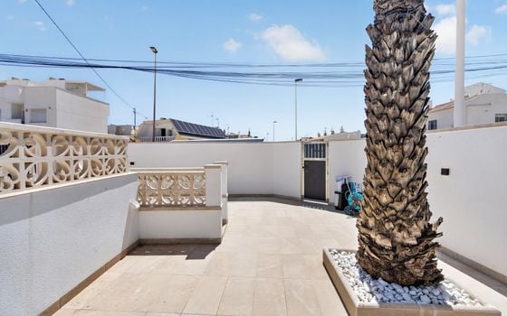 Villa de 3 chambres à Torrevieja - CBE154250 - Photo - Small - 31