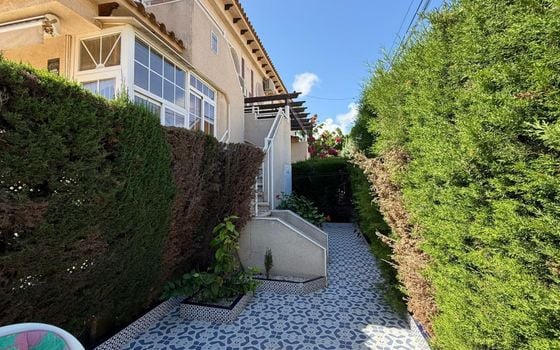 2 bedroom Bungalow in Torrevieja - AG154270 - Photo - Small - 24