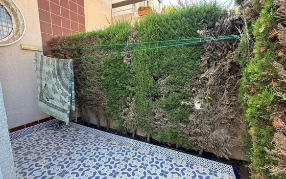 2 bedroom Bungalow in Torrevieja - AG154270 - Photo - Small - 29