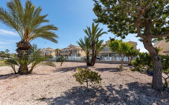 2 bedroom Bungalow in Torrevieja - GVS154562 - Photo - Small - 26