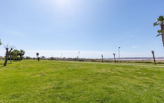 2 bedroom Bungalow in Torrevieja - GVS154562 - Photo - Small - 28