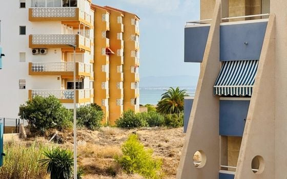 Appartement de 1 chambre à La Mata - SMPN154563 - Photo - Small - 11