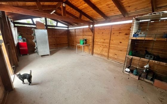 1 bedroom Villa in San Fulgencio - VRE154564 - Photo - Small - 12