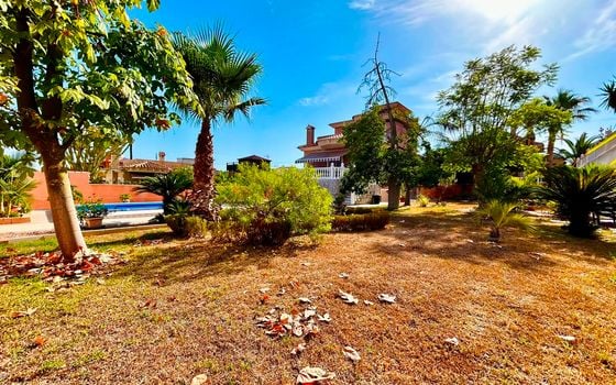 Villa de 2 chambres à Orihuela - SLI154617 - Photo - Small - 35
