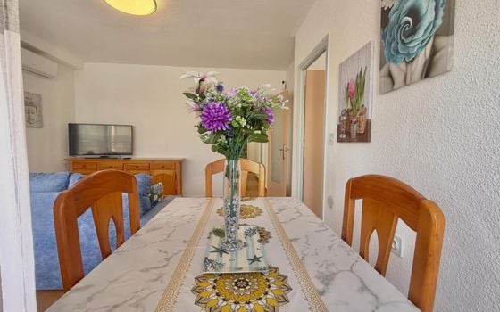 Penthouse de 1 chambre à Torrevieja - CT154715 - Photo - 4