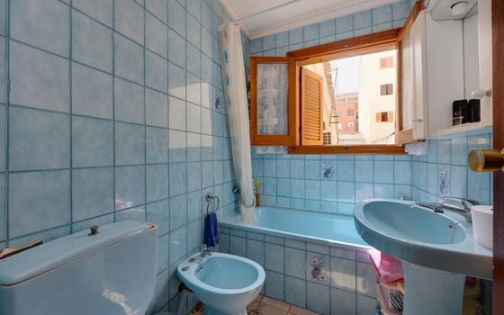 Bungalow de 3 habitaciones en Torrevieja - TIM154725 - Foto - Small - 22