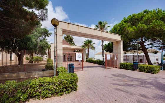 Bungalow de 3 habitaciones en Torrevieja - TIM154725 - Foto - Small - 28