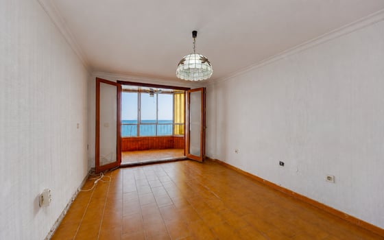 Appartement de 1 chambre à Torrevieja - TIM154727 - Photo - 4