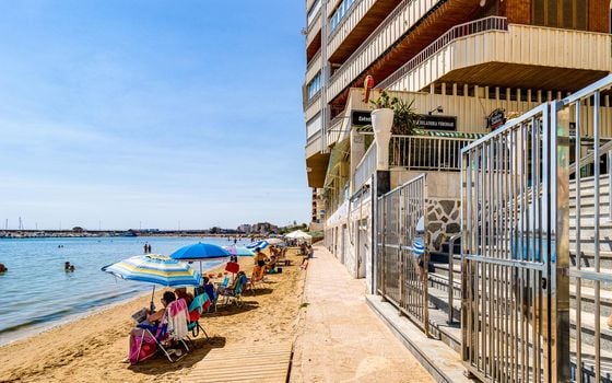 Appartement de 1 chambre à Torrevieja - TIM154727 - Photo - Small - 21