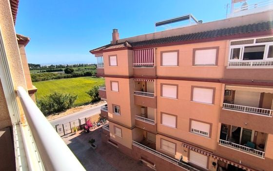 2 bedroom Penthouse in Algorfa - PR154763 - Photo - Small - 22