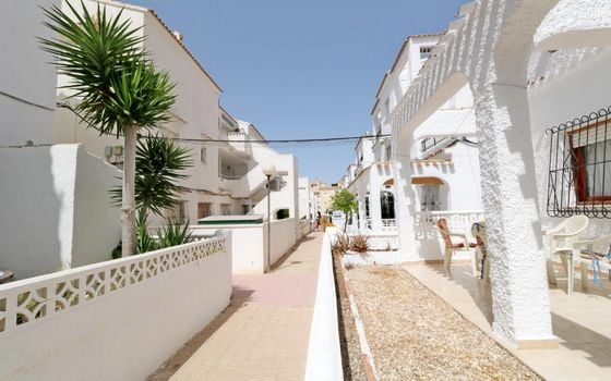 Bungalow de 3 chambres à Torrevieja - PSA154855 - Photo - Small - 22