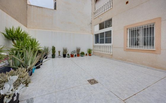 Appartement de 1 chambre à Torrevieja - CYM154869 - Photo - Small - 13