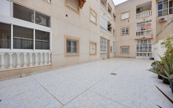 Appartement de 1 chambre à Torrevieja - CYM154869 - Photo - Small - 15