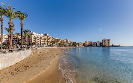 Appartement de 1 chambre à Torrevieja - CYM154869 - Photo - Small - 23