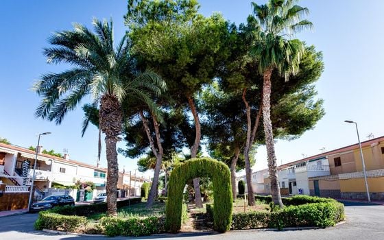 3 bedroom Townhouse in Torrevieja - CYM154870 - Photo - Small - 28