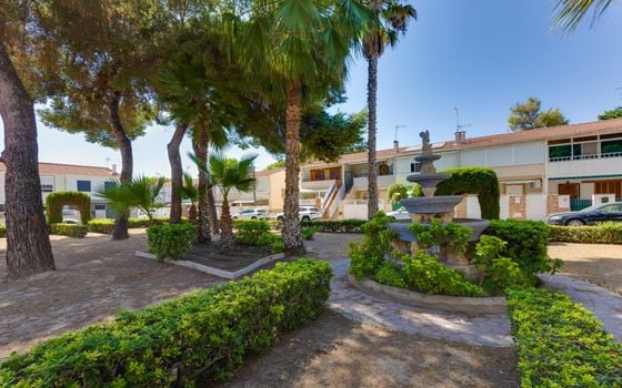 3 bedroom Townhouse in Torrevieja - CYM154870 - Photo - Small - 25