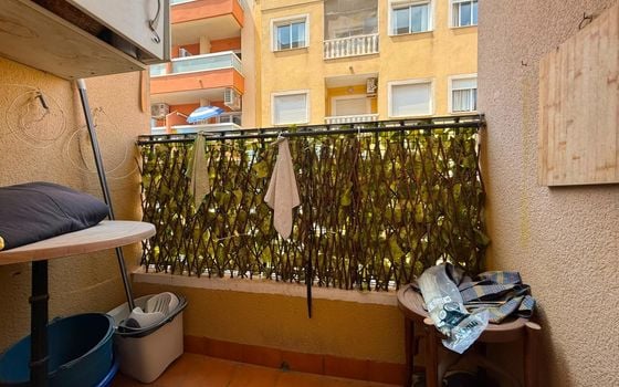 Appartement de 1 chambre à Torrevieja - AG154889 - Photo - Small - 18