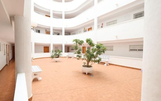 2 bedroom Apartment in Torrevieja - CRR155017 - Photo - Small - 12