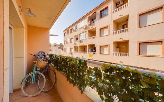 Appartement de 3 chambres à Torrevieja - TIM155032 - Photo - Small - 28