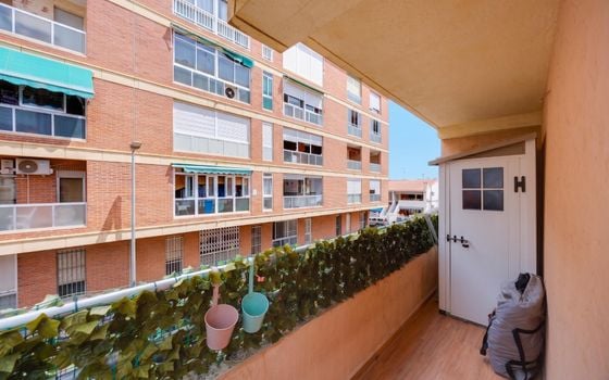 Appartement de 3 chambres à Torrevieja - TIM155032 - Photo - Small - 27