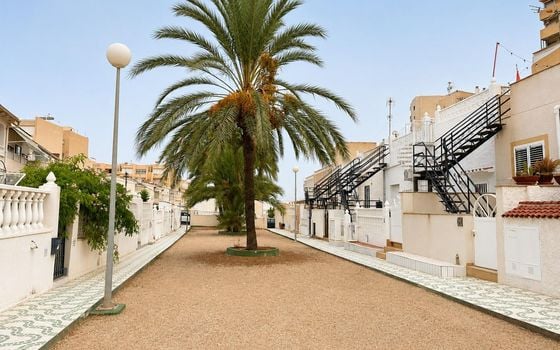 Bungalow de 2 chambres à Torrevieja - GVS155176 - Photo - Small - 10