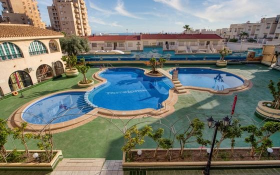 Penthouse de 1 chambre à Torrevieja - GVS155177 - Photo - 3