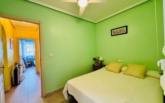 Appartement de 3 chambres à La Mata - SMPN155179 - Photo - Small - 10