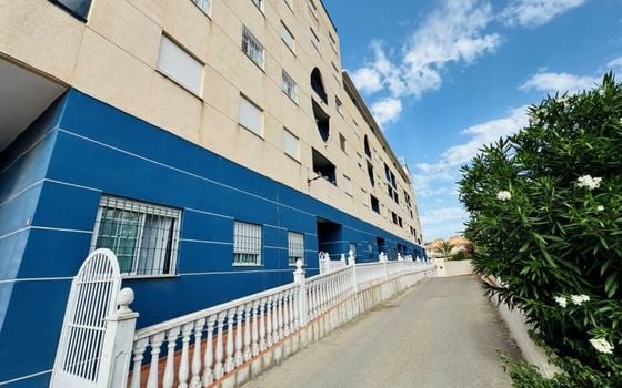 Appartement de 3 chambres à La Mata - SMPN155179 - Photo - Small - 17