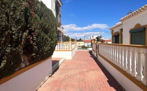 2 bedroom Bungalow in La Mata - AG155223 - Photo - Small - 20