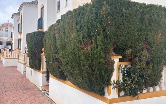 2 bedroom Bungalow in La Mata - AG155223 - Photo - Small - 22
