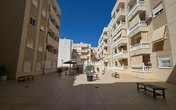 3 bedroom Apartment in Torrevieja - AG155226 - Photo - Small - 27