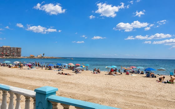 2 bedroom Apartment in Torrevieja - RCJ155411 - Photo - Small - 13