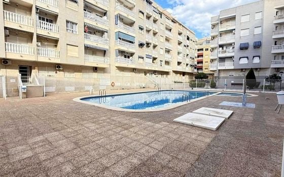 Appartement de 1 chambre à Torrevieja - AG155564 - Photo - Small - 22