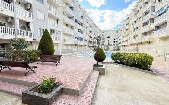Appartement de 1 chambre à Torrevieja - AG155564 - Photo - Small - 19