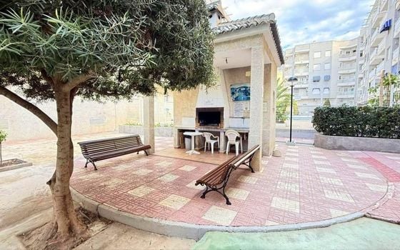 Appartement de 1 chambre à Torrevieja - AG155564 - Photo - Small - 15