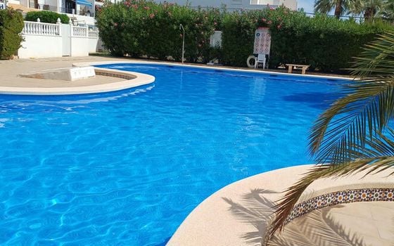 2 bedroom Townhouse in Cabo Roig - MP155605 - Photo - Small - 19