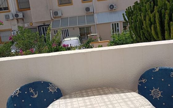2 bedroom Townhouse in Cabo Roig - MP155605 - Photo - Small - 12