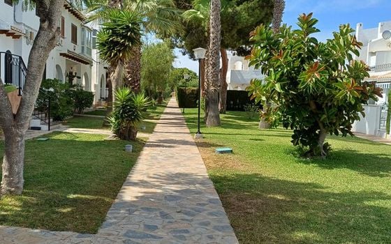 2 bedroom Townhouse in Cabo Roig - MP155605 - Photo - Small - 18