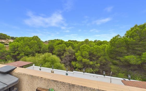 3 bedroom Villa in Pinar de Campoverde - OKW155639 - Photo - Small - 29